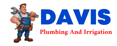 Trusted plumber in SELIGMAN